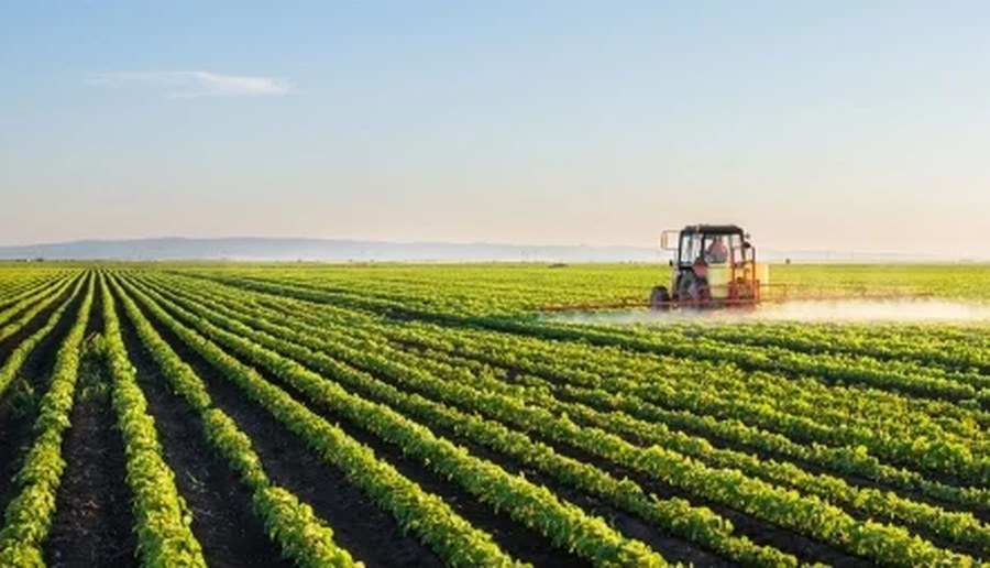 Tractor fumigando un cultivo en hileras
